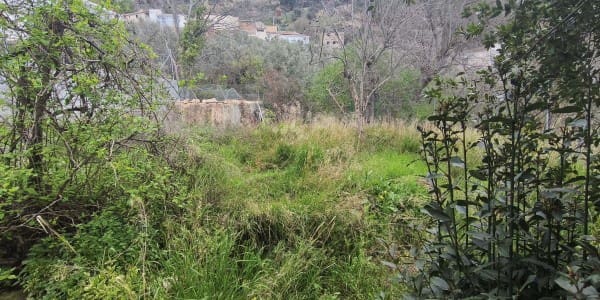 5 bedroom Villa for sale in Quesada - € 46,000 (Ref: 9019481)