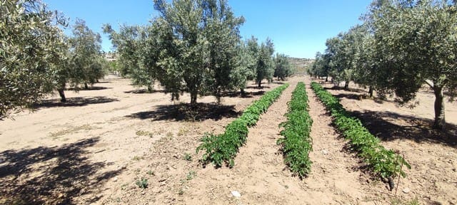 1 camera da letto Finca/Casa di Campagna in vendita in El Hijate, Alcóntar - 99.950 € (Rif: 9021166)