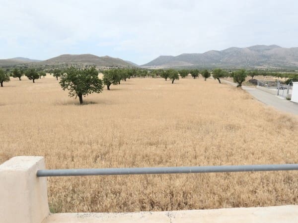 4 sovrum Semi-fristående Villa till salu i Chirivel - 68 500 € (Ref: 9080703)