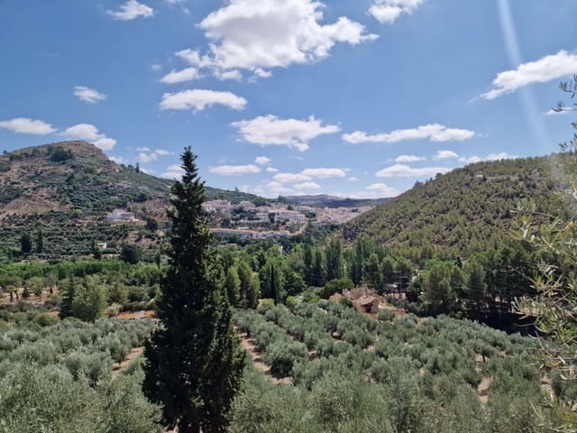 4 Zimmer Finca/Landgut zu verkaufen in Castril mit Pool - 138.000 € (Ref: 9138221)