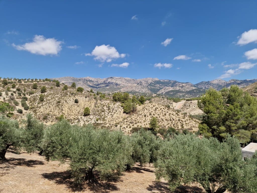 4 quarto Quinta/Casa Rural para venda em Castril com piscina - 138 000 € (Ref: 9138221)