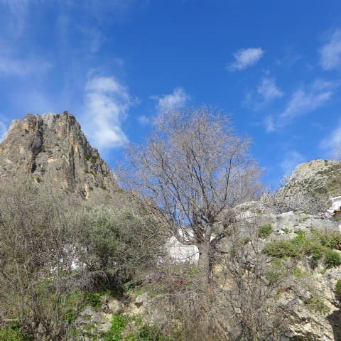 5 sovrum Finca/Hus på landet till salu i Quesada med pool - 105 000 € (Ref: 9357851)