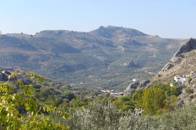 4 soverom Finca/Herregård til salgs i Quesada - € 35 000 (Ref: 9378105)