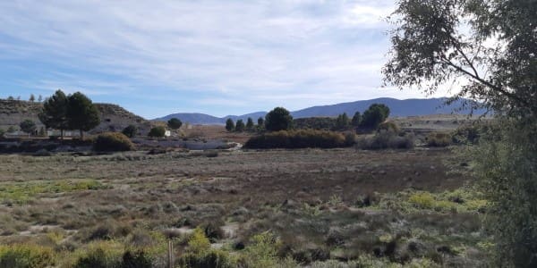 Casa Cueva de 2 habitaciones en La Alqueria, Galera en venta - 120.000 € (Ref: 9378369)