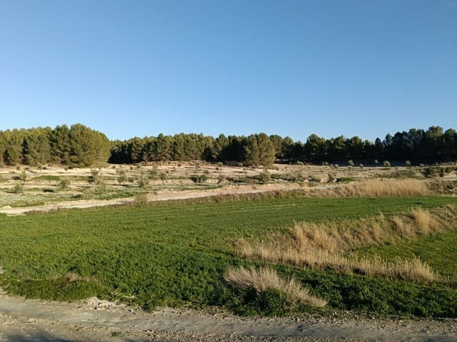 Luolatalo myytävänä paikassa Benamaurel - 39 950 € (Ref: 9614311)