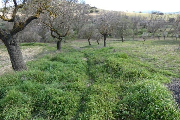 4 Zimmer Doppelhaus zu verkaufen in Venta Quemada mit Pool - 120.000 € (Ref: 9712397)