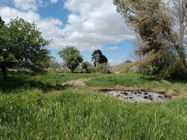 5 slaapkamer Finca/Landhuis te koop in Benamaurel met zwembad - € 210.000 (Ref: 9772494)