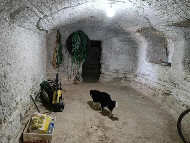 5 slaapkamer Finca/Landhuis te koop in Benamaurel met zwembad - € 210.000 (Ref: 9772494)