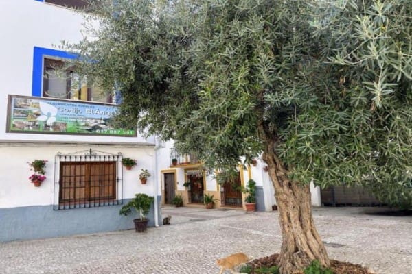 4 bedroom Townhouse for sale in Castril - € 130,000 (Ref: 9776872)