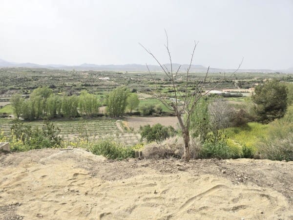 Casa Grotta in vendita in Caniles - 14.000 € (Rif: 9777227)