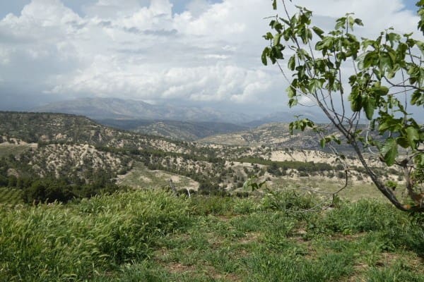 6 bedroom Cave House for sale in Cortes de Baza - € 66,000 (Ref: 9824255)