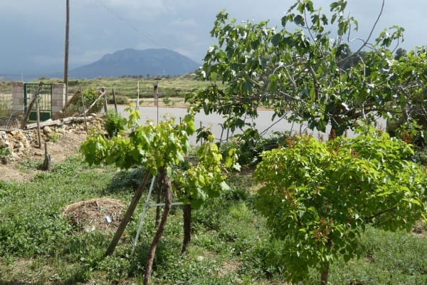 6 soverom Grottehus til salgs i Cortes de Baza - € 66 000 (Ref: 9824255)