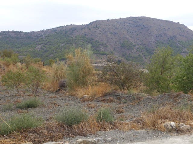 4 bedroom Villa for sale in Oria - € 169,995 (Ref: 9827315)