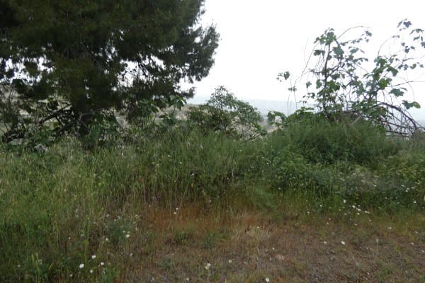 3 soveværelse Hulehus til salg i Cortes de Baza - € 55.000 (Ref: 9841920)