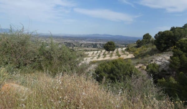 8 bedroom Cave House for sale in Cortes de Baza - € 65,000 (Ref: 9863903)