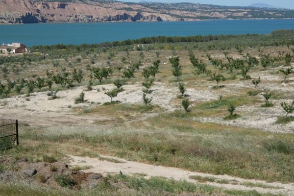 Undeveloped Land for sale in Freila - € 365,000 (Ref: 9866392)