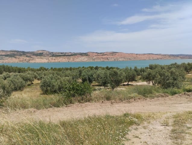 Terre non Aménagée à vendre à Freila - 365 000 € (Ref: 9866392)