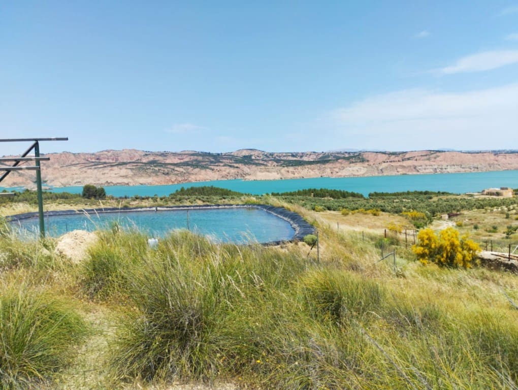 Undeveloped Land for sale in Freila - € 365,000 (Ref: 9866392)