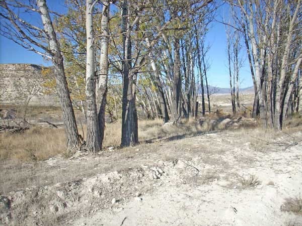 Finca/Herregård til salgs i La Alqueria - € 55 000 (Ref: 997471)