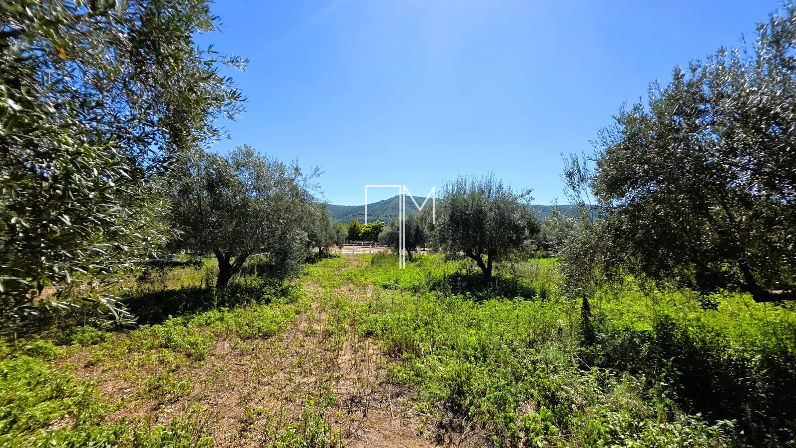 7 chambre Finca/Maison de Campagne à vendre à Enguera avec piscine garage - 950 000 € (Ref: 10086915)