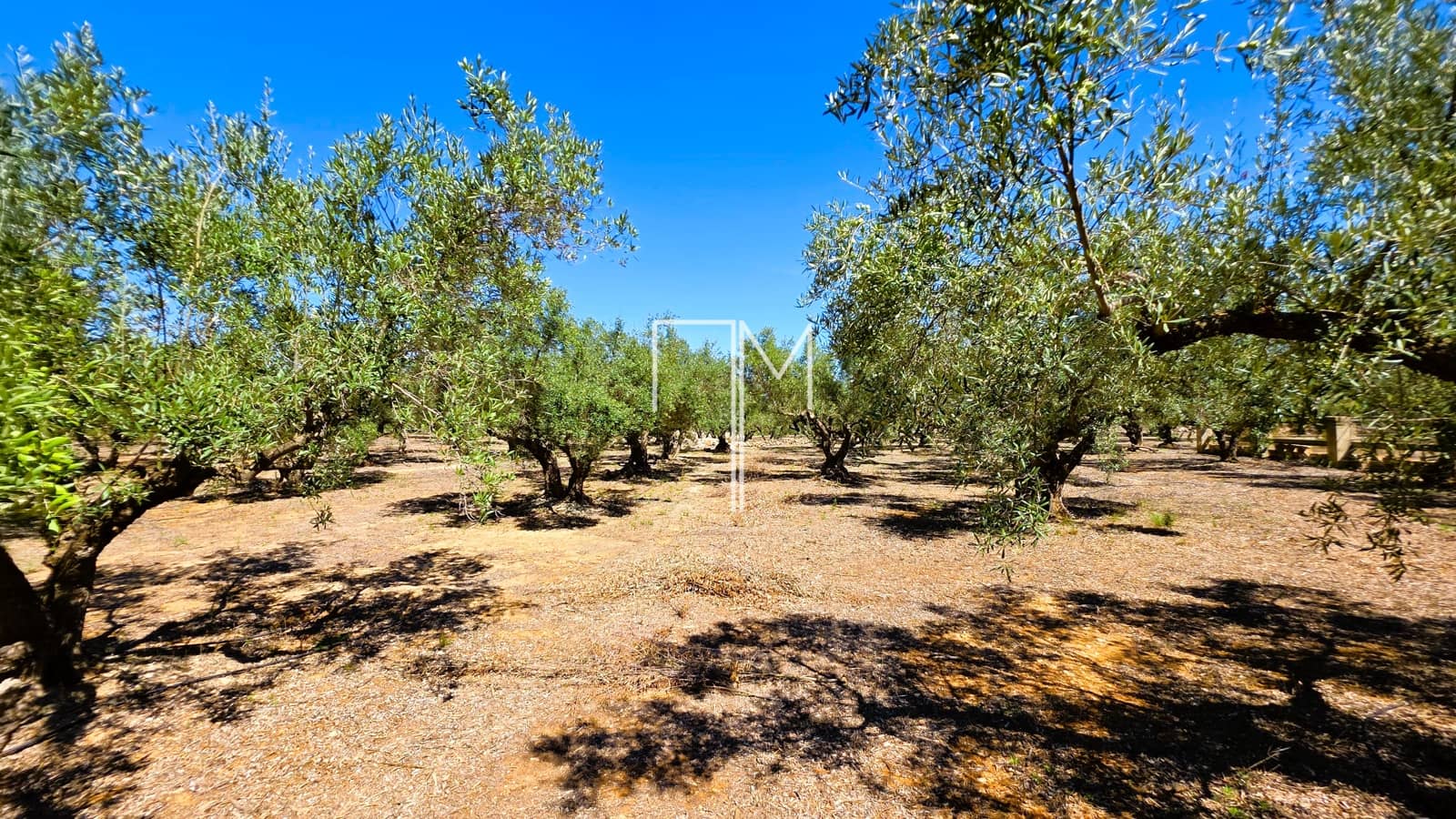 3 sovrum Finca/Hus på landet till salu i Enguera med pool garage - 250 000 € (Ref: 10088412)