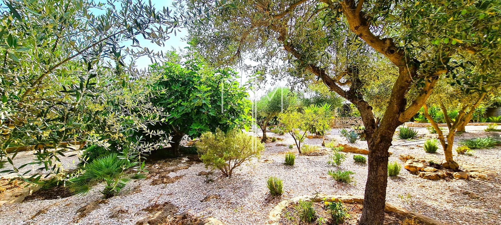 4 slaapkamer Villa te koop in Alberic met zwembad garage - € 370.000 (Ref: 10171849)