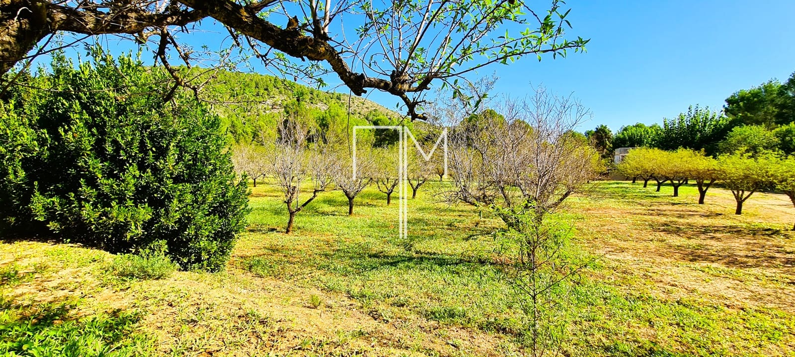 6 soverom Villa til salgs i L'Olleria med svømmebasseng - € 495 000 (Ref: 7807902)