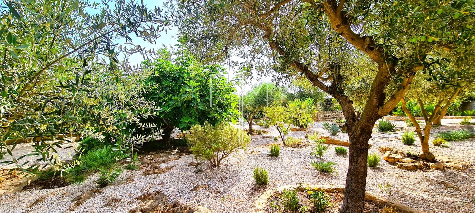 4 soveværelse Villa til salg i Alberic med swimmingpool garage - € 355.000 (Ref: 8449673)