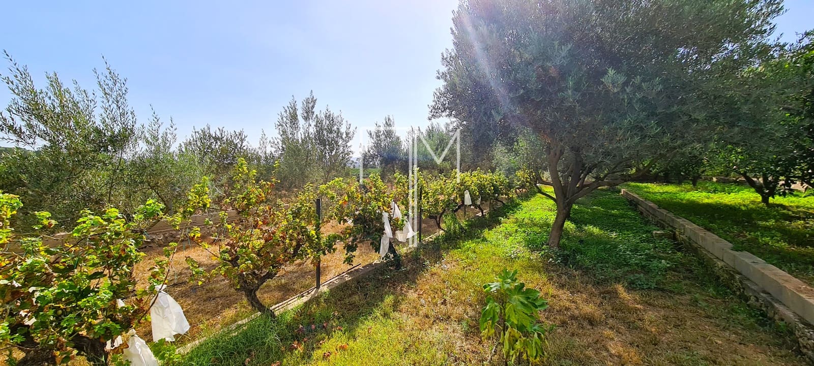 4 soveværelse Villa til salg i Alberic med swimmingpool garage - € 355.000 (Ref: 8449673)