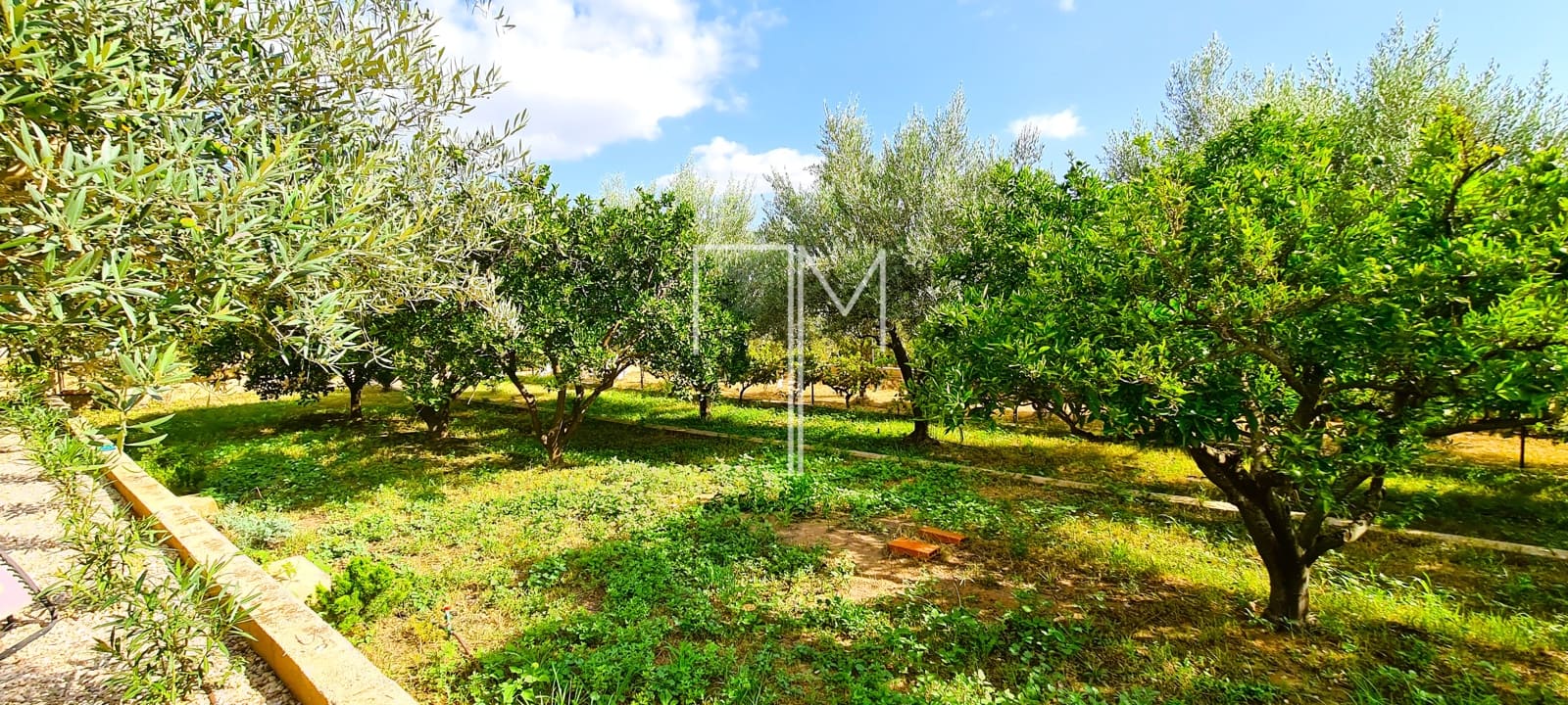 4 soveværelse Villa til salg i Alberic med swimmingpool garage - € 355.000 (Ref: 8449673)