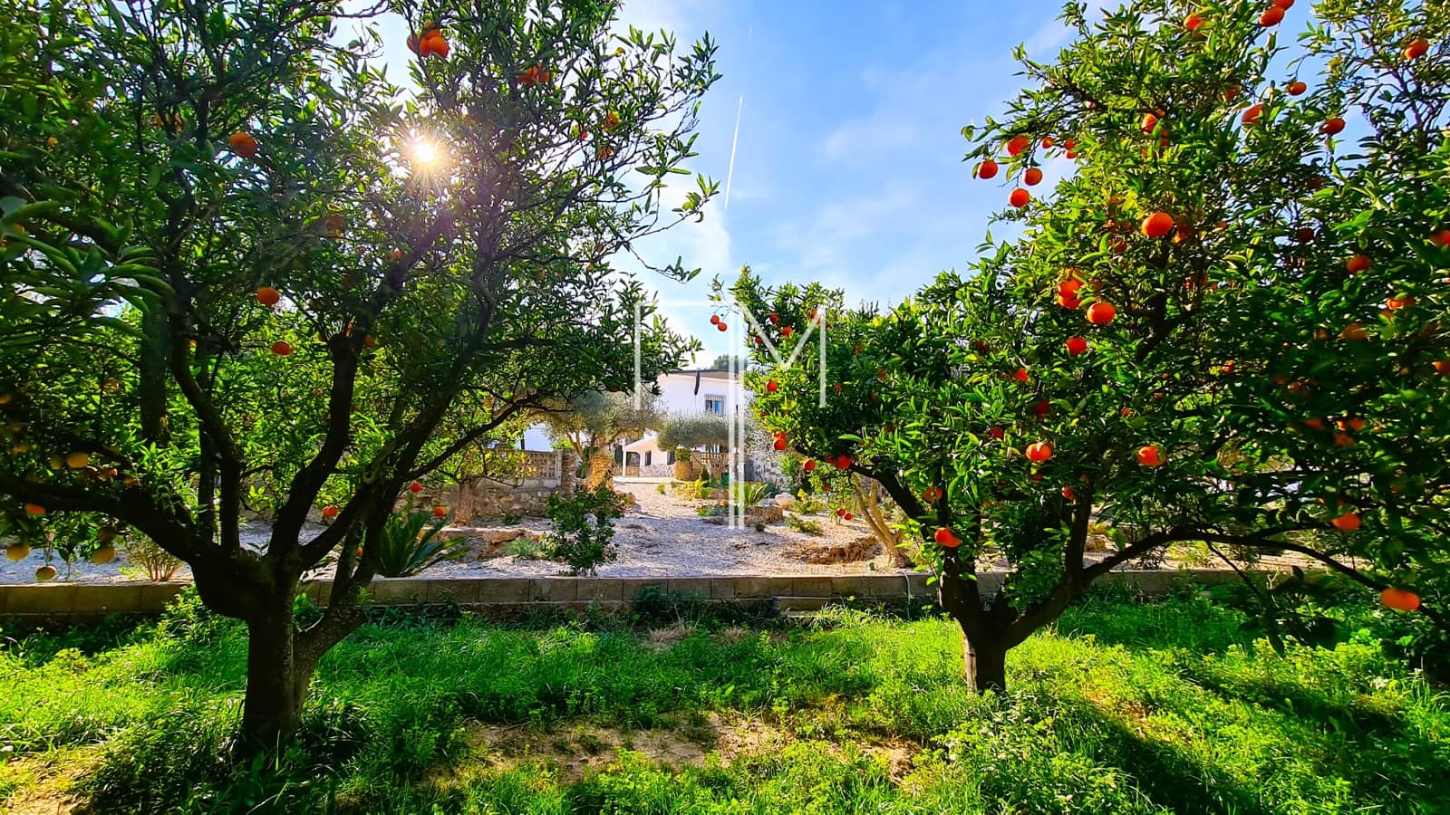 4 soveværelse Villa til salg i Alberic med swimmingpool garage - € 355.000 (Ref: 8449673)