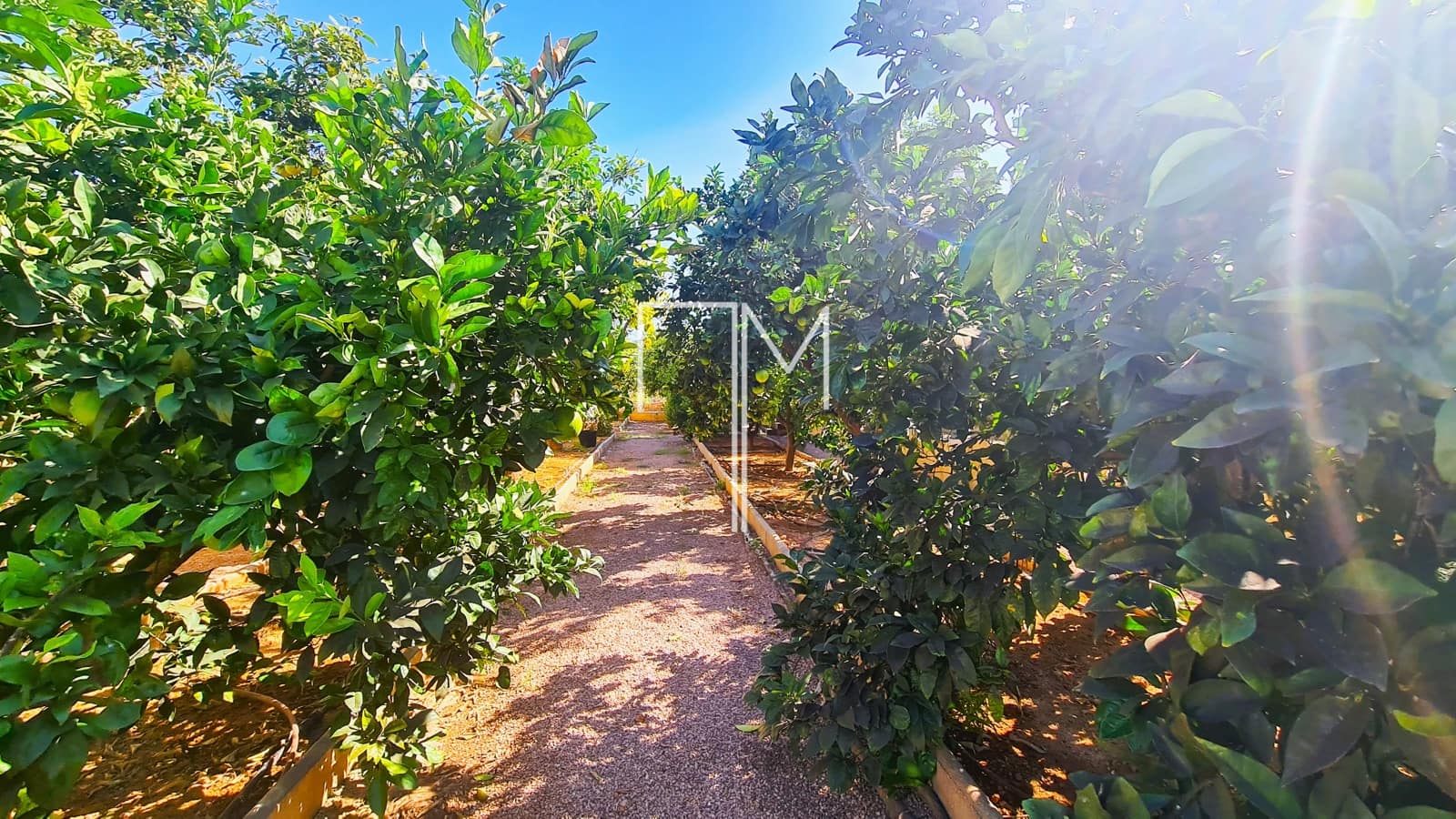 3 sovrum Villa till salu i Alberic med pool garage - 390 000 € (Ref: 8581169)