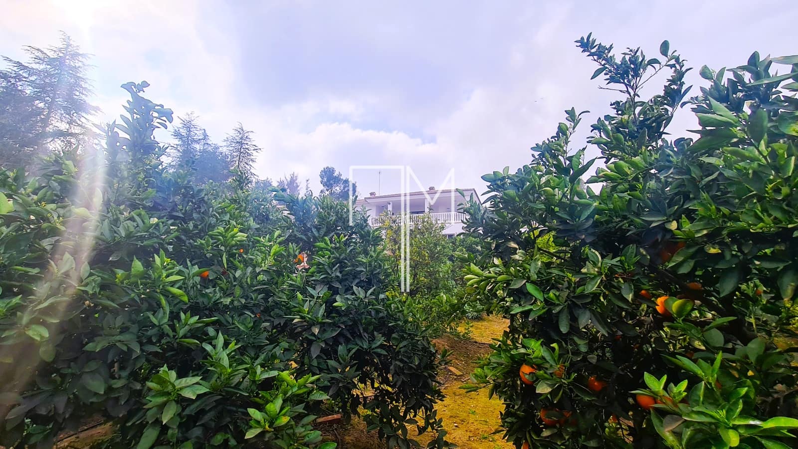 3 soveværelse Villa til salg i Alberic med swimmingpool garage - € 370.000 (Ref: 8820479)