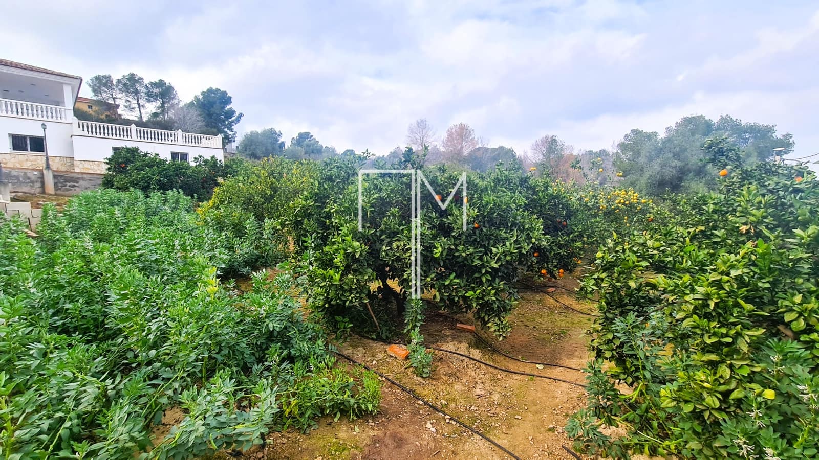 3 soveværelse Villa til salg i Alberic med swimmingpool garage - € 370.000 (Ref: 8820479)