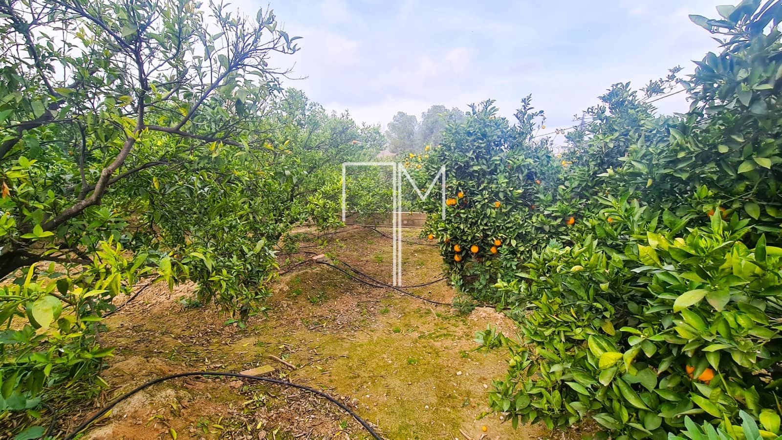 3 soveværelse Villa til salg i Alberic med swimmingpool garage - € 370.000 (Ref: 8820479)