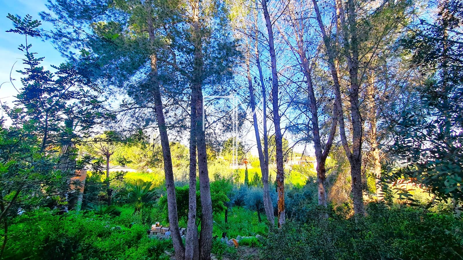 4 chambre Villa/Maison à vendre à Alberic avec piscine garage - 290 000 € (Ref: 8910253)