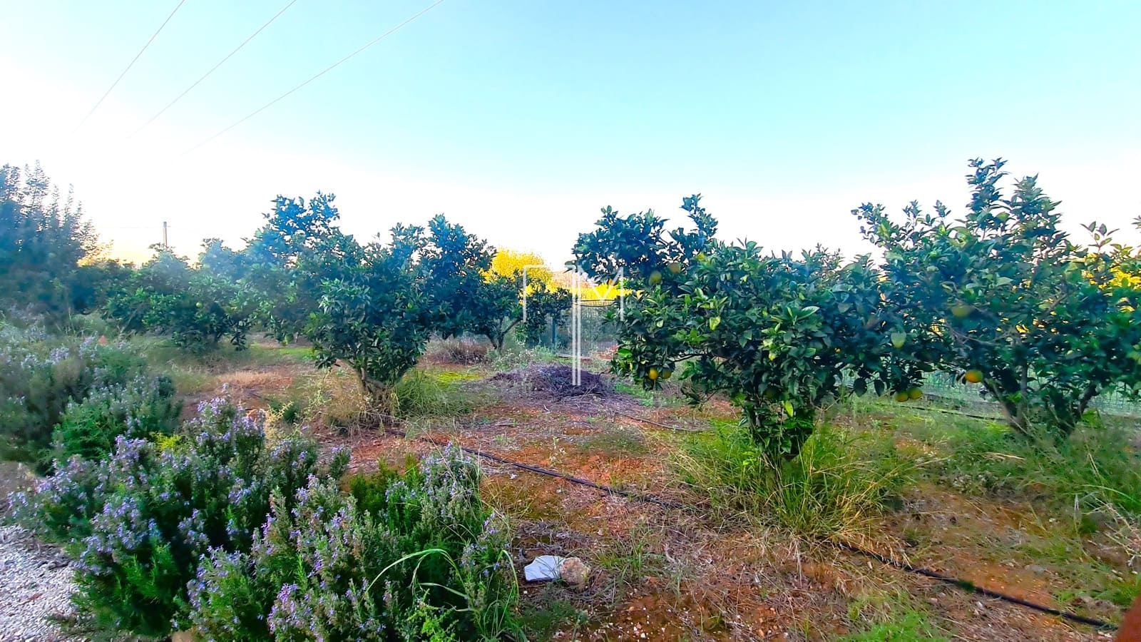 4 soverom Villa til salgs i Barxeta med svømmebasseng garasje - € 245 000 (Ref: 9378524)