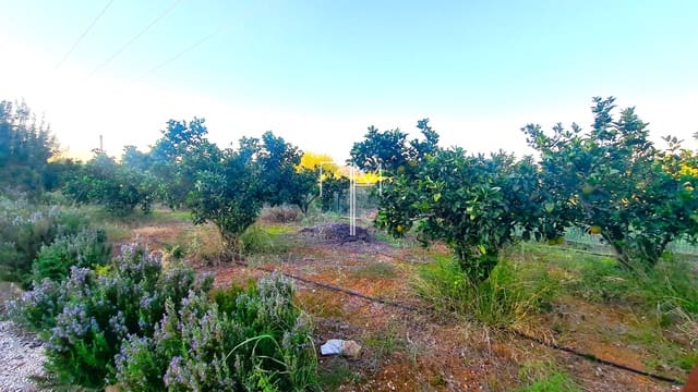 4 soveværelse Villa til salg i Barxeta med swimmingpool garage - € 245.000 (Ref: 9378524)