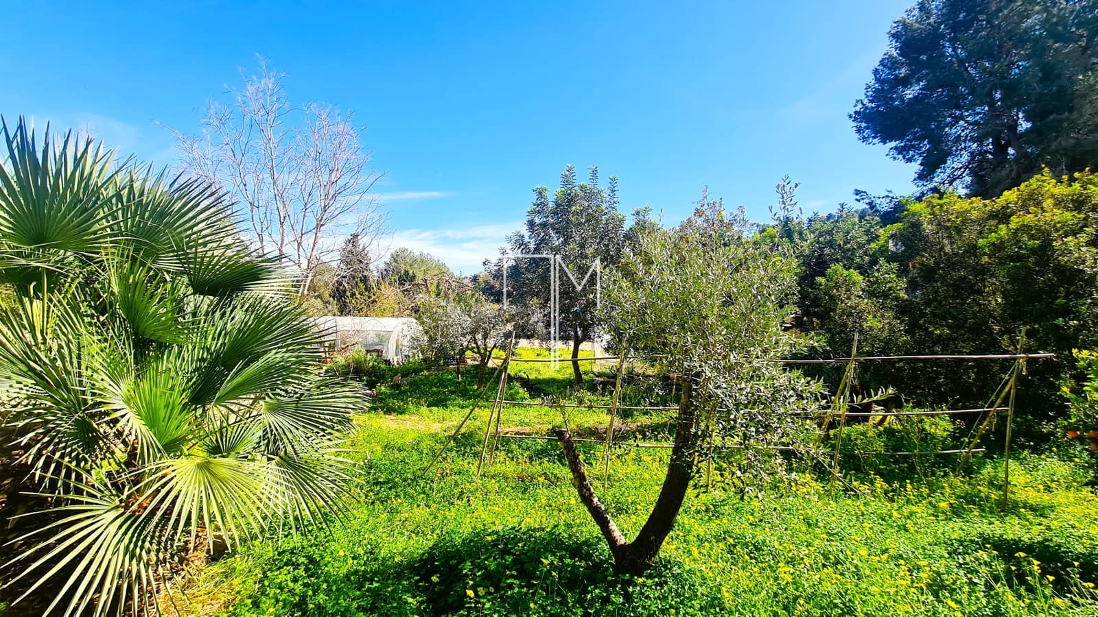 5 makuuhuone Huvila myytävänä paikassa Alberic mukana uima-altaan 
autotalli - 365 000 € (Ref: 9624209)