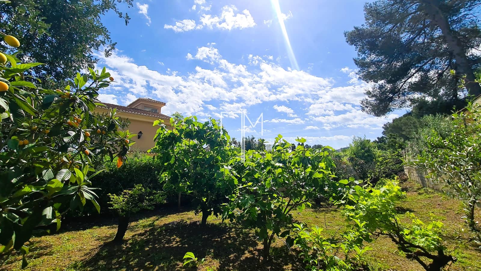 5 bedroom Villa for sale in Xativa with garage - € 435,000 (Ref: 9819641)