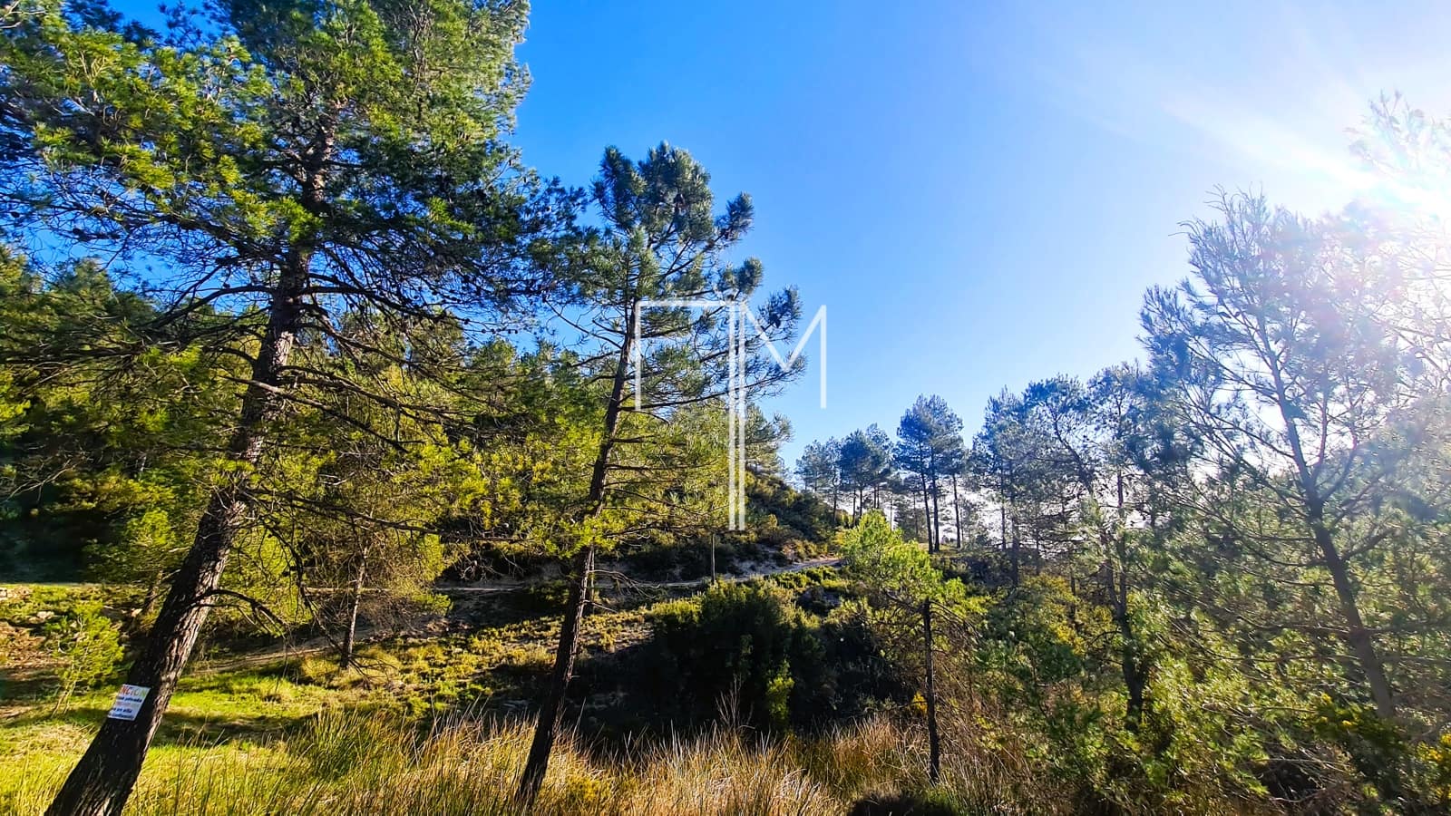 9 Zimmer Finca/Landgut zu verkaufen in Enguera mit Pool Garage - 1.450.000 € (Ref: 9941139)