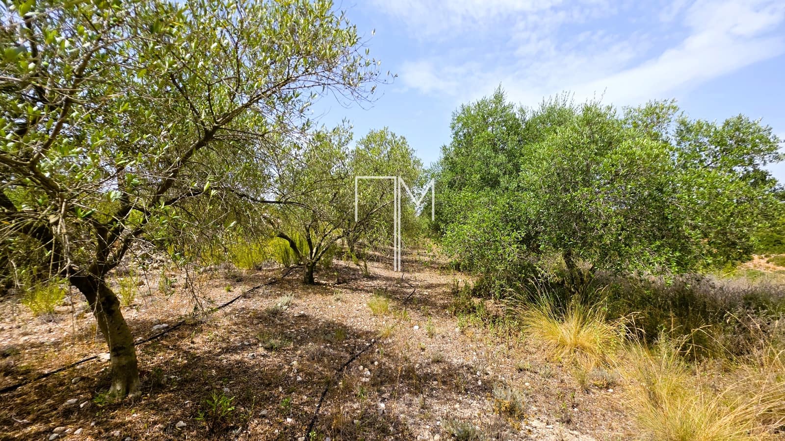 2 soverom Finca/Herregård til salgs i Enguera - € 110 000 (Ref: 9965752)