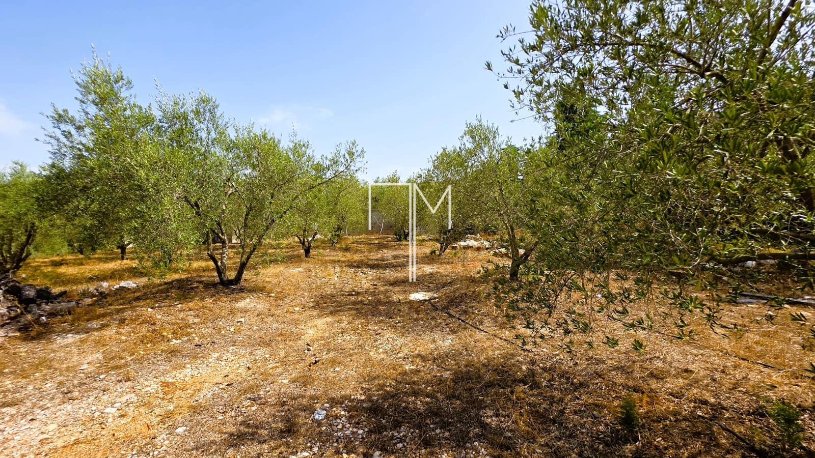 4 soverom Villa til salgs i Enguera med svømmebasseng garasje - € 560 000 (Ref: 9965754)