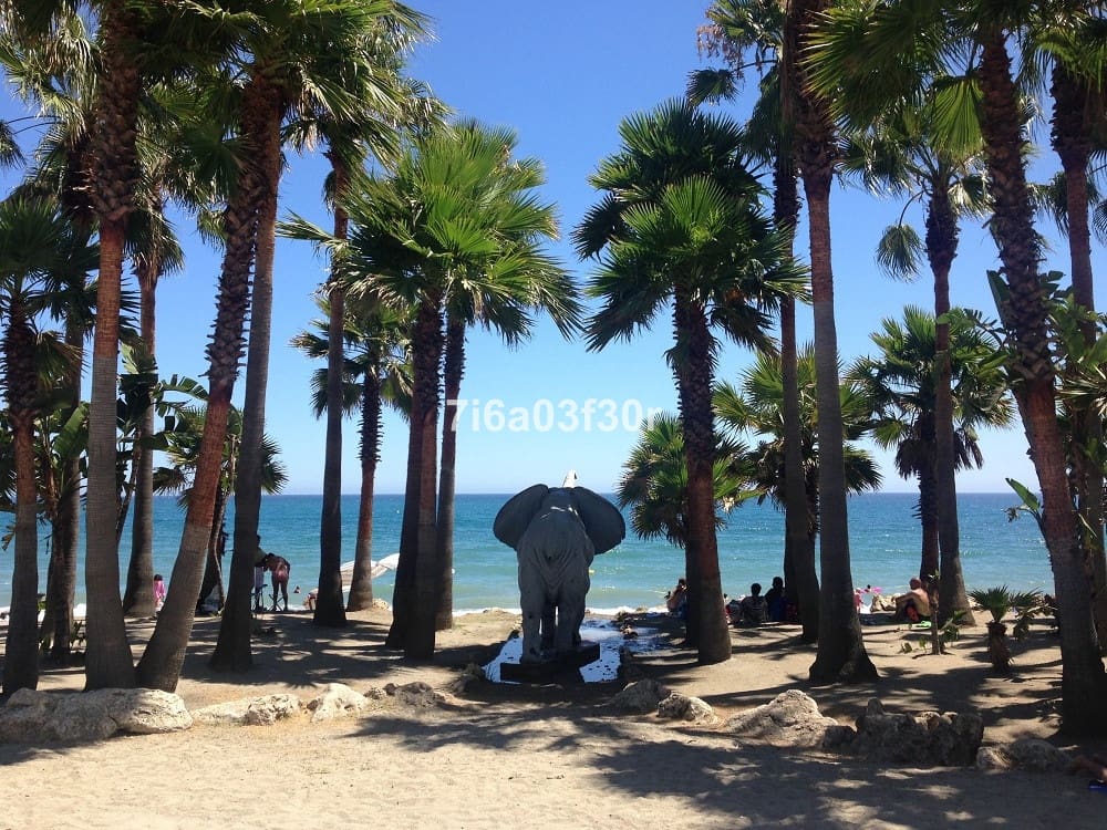 2 bedroom Apartment for rent in Guadalmina with pool garage - € 1,700 (Ref: 9495590)