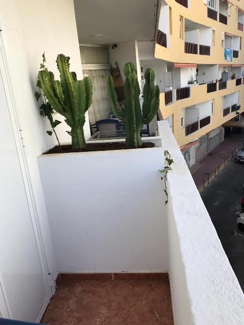 Studio att hyra i Los Cristianos med pool garage - 1 350 € (Ref: 4292488)