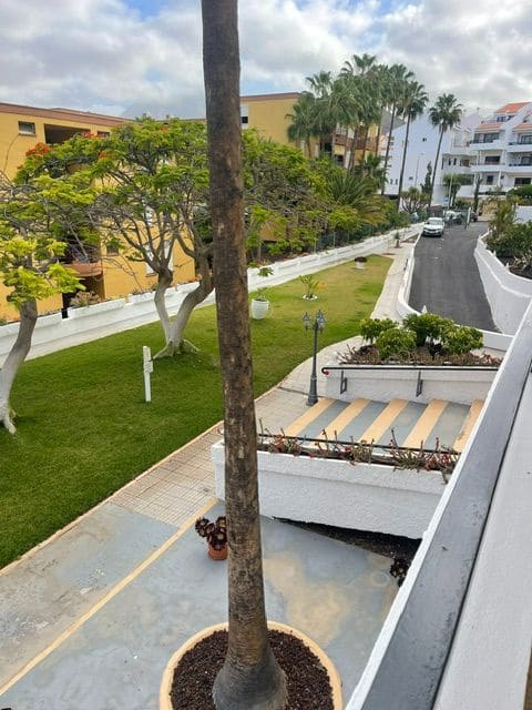 1 soveværelse Lejlighed til leje i Los Cristianos med swimmingpool garage - € 1.250 (Ref: 5784900)