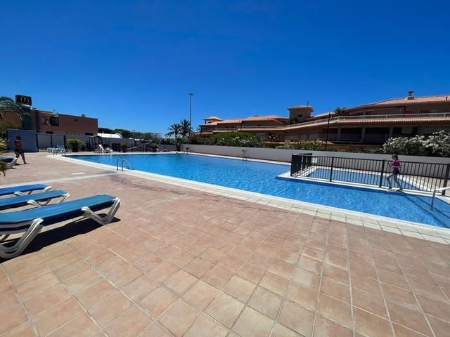 Studio att hyra i Playa de las Americas, Arona med pool garage - 1 400 € (Ref: 6855645)