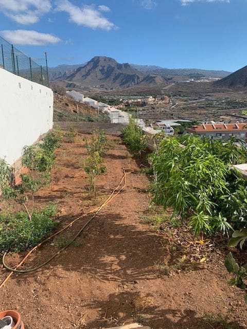 3 bedroom Flat for sale in Los Cristianos with pool garage - € 549,000 (Ref: 7807265)
