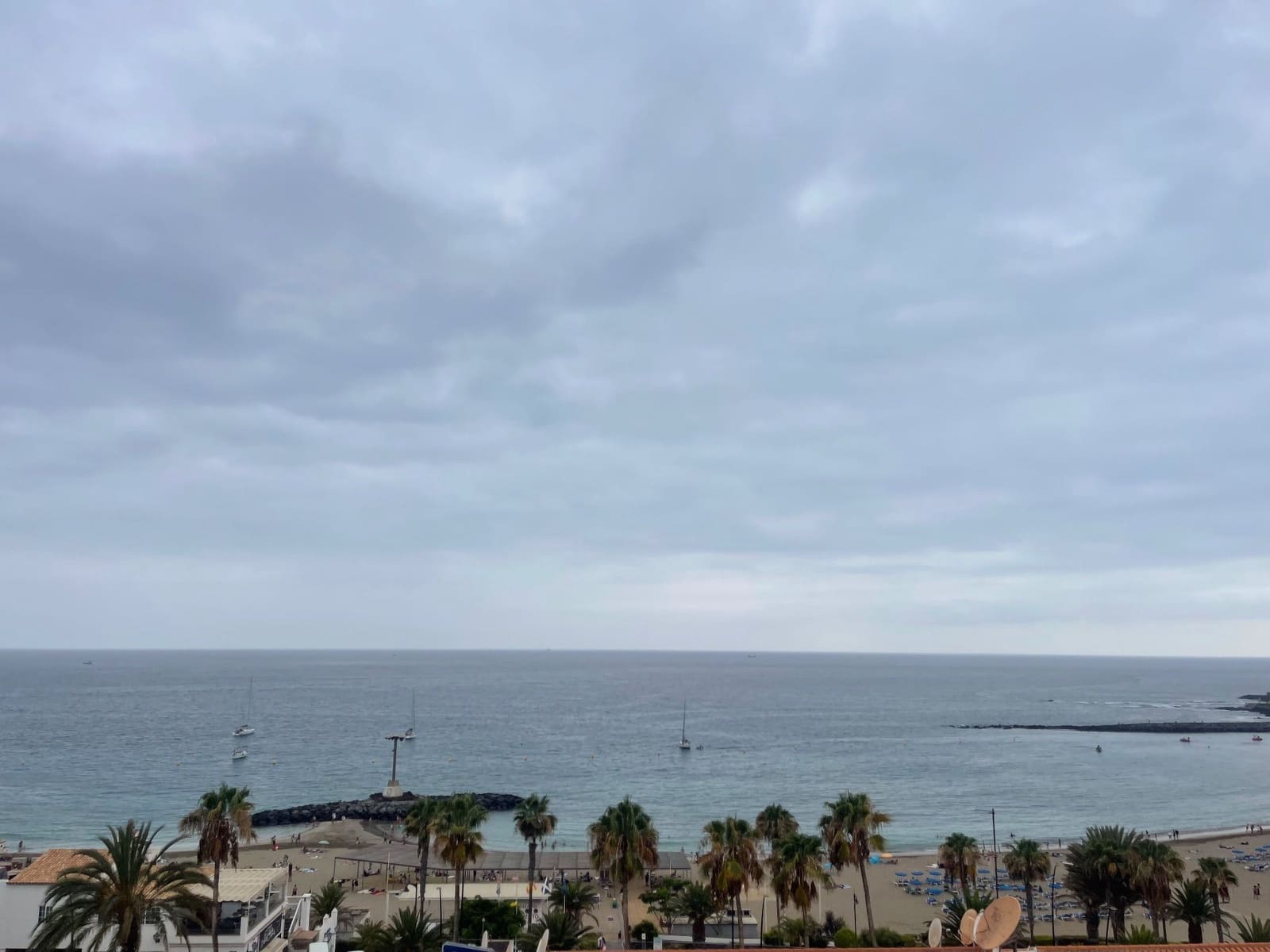 Studio for rent in Los Cristianos - € 1,200 (Ref: 9129504)