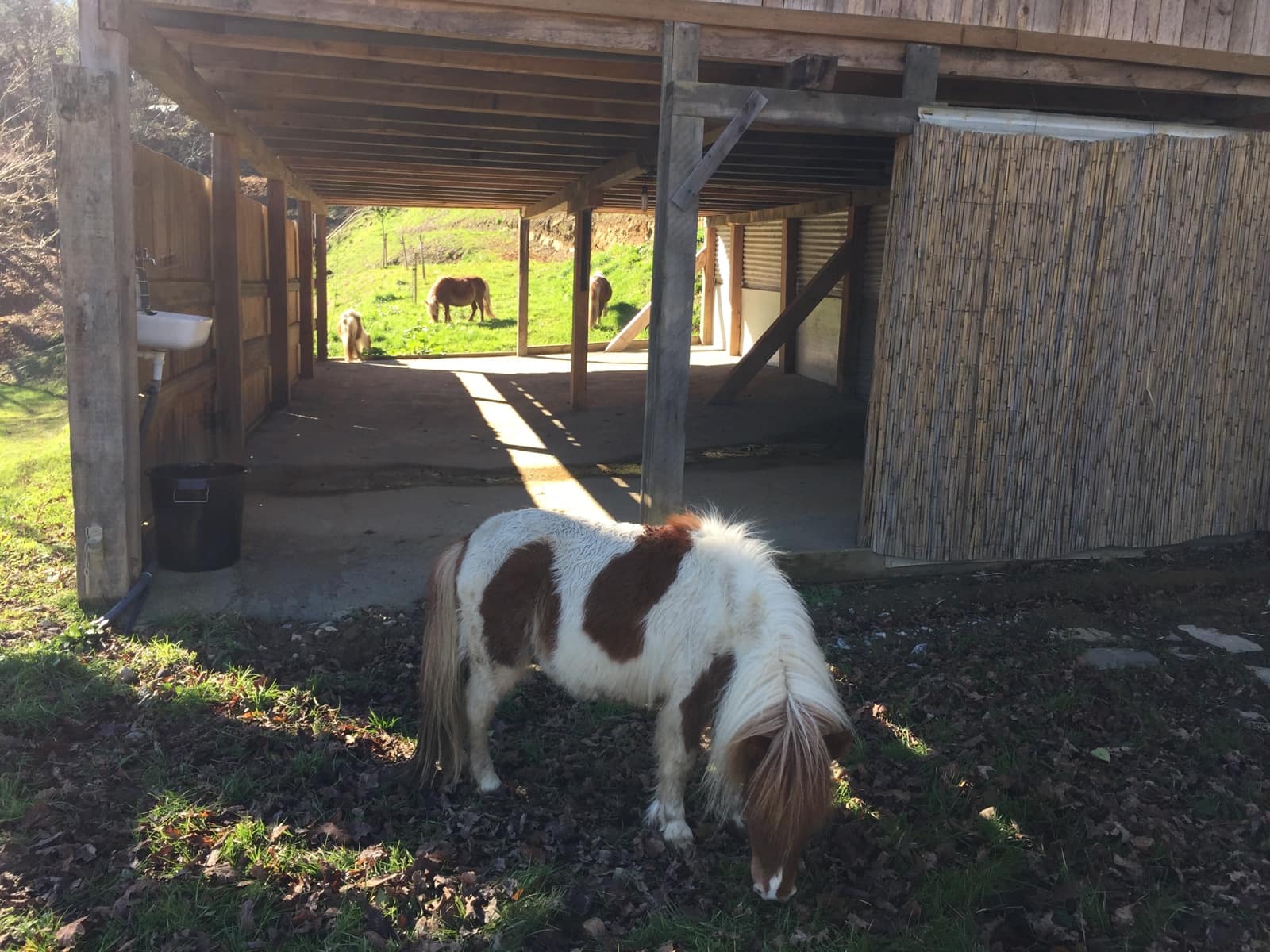 4 soveværelse Semi-Rækkehus til salg i Hondarribia med swimmingpool garage - € 1.600.000 (Ref: 7739226)